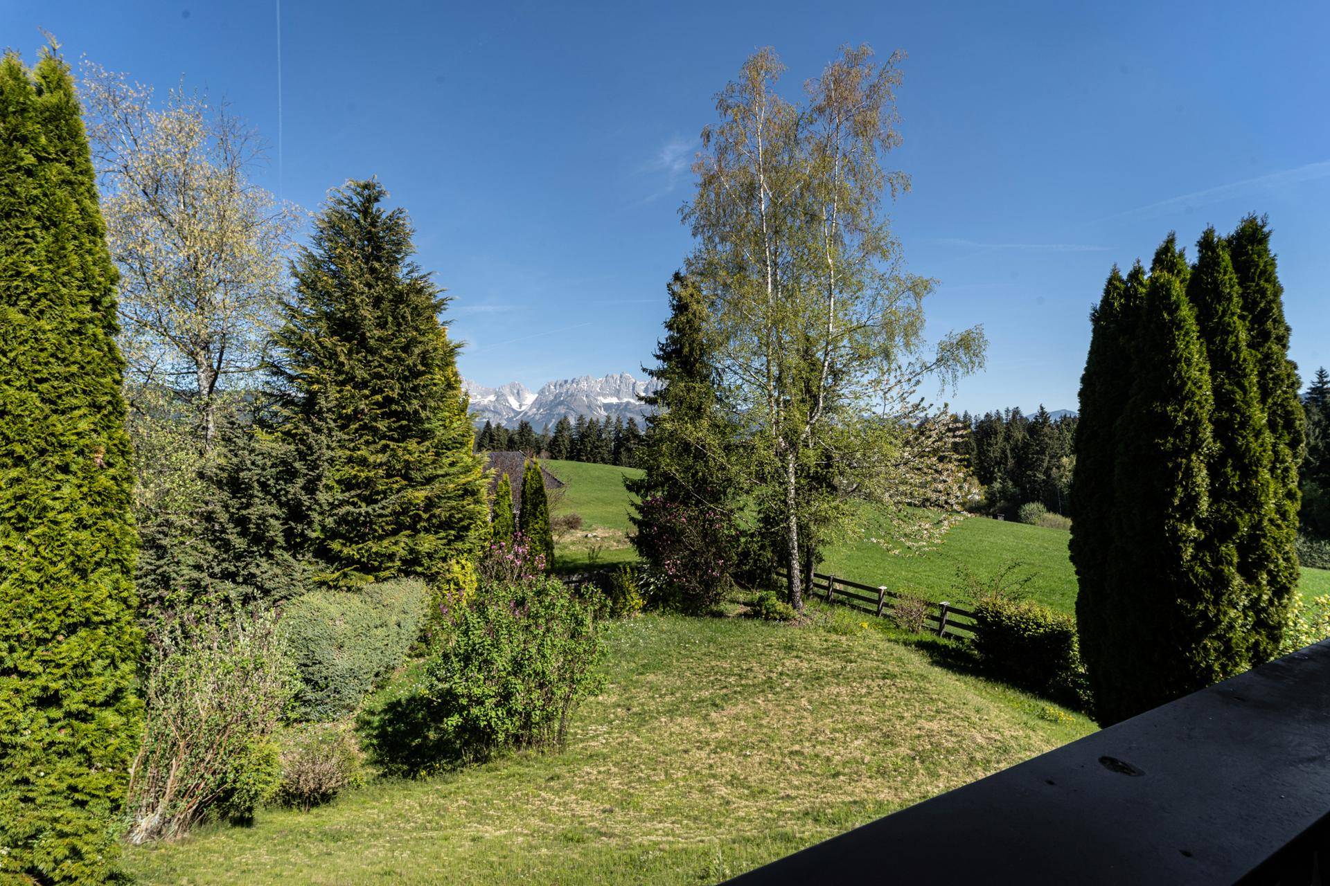 Weitläufiger Garten mit hohen Bäumen und einem malerischen Blick auf die schneebedeckten Berge.
