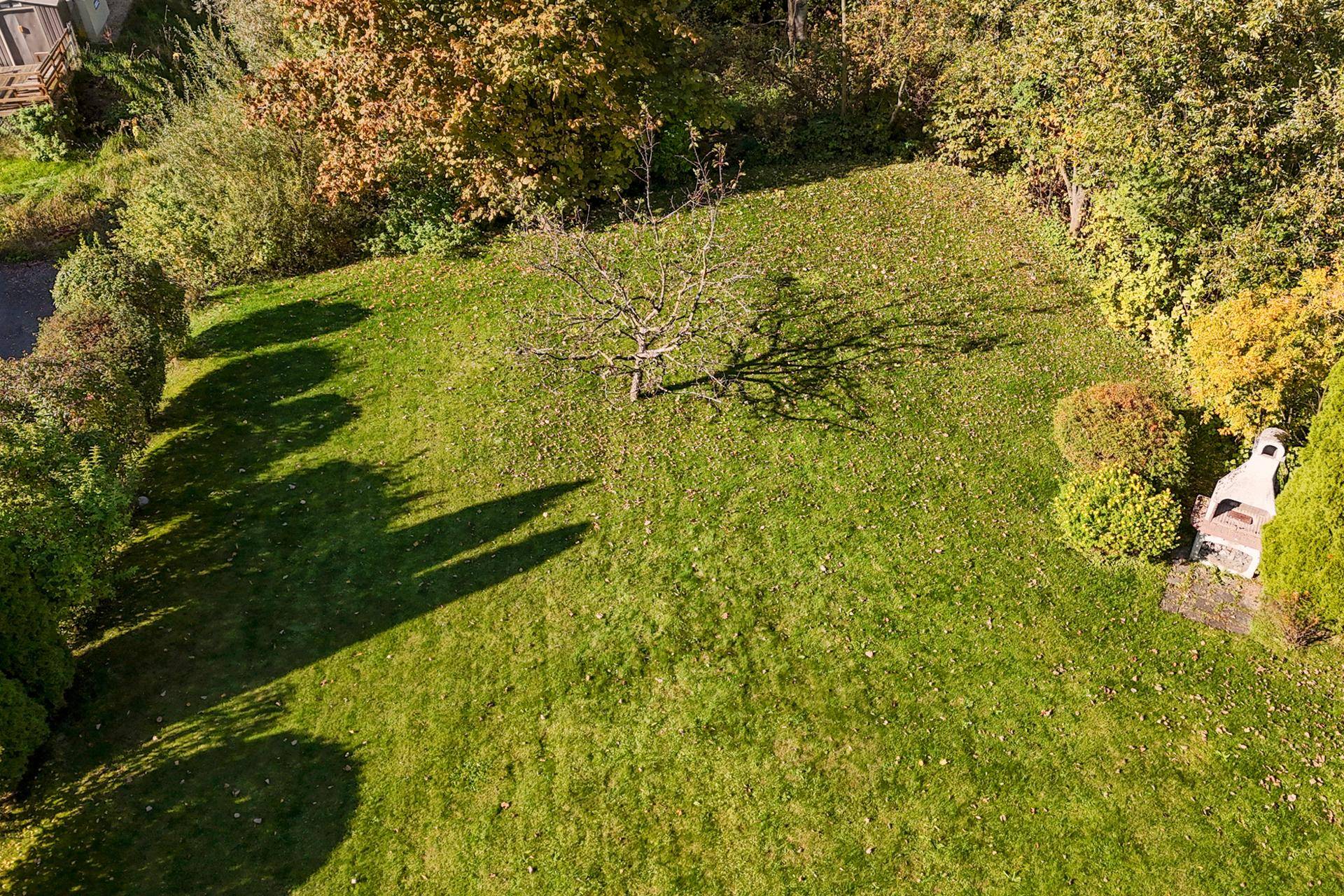 Luftaufnahme eines grünen Gartens mit zentralem Baum, Hecken und einem gemauerten Grillplatz.