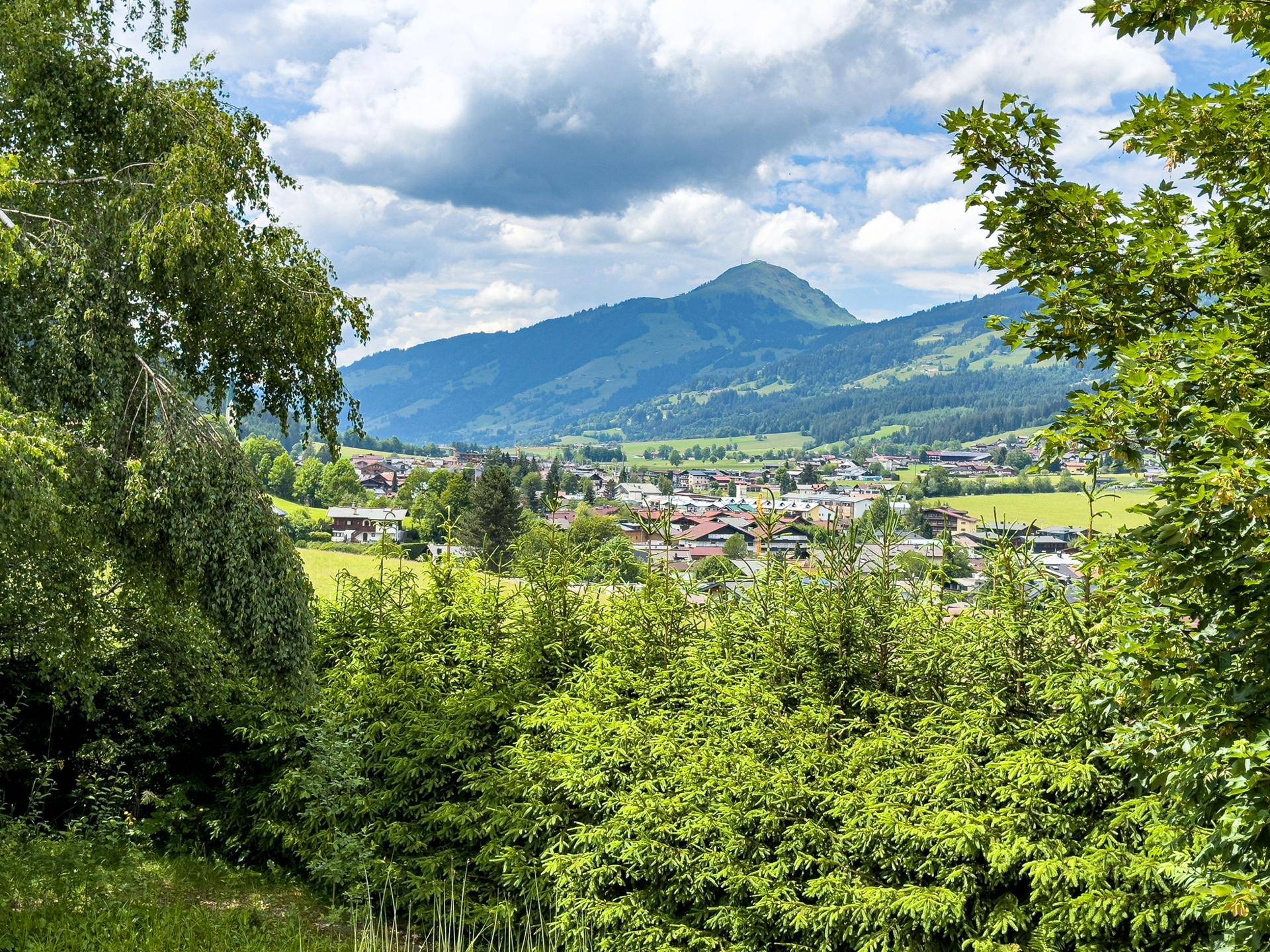 AUSBLICK
