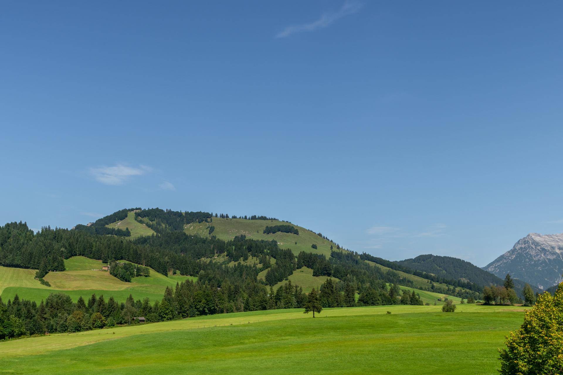 Weitläufige grüne Hügellandschaft mit Wäldern und Bergen unter einem klaren blauen Himmel.
