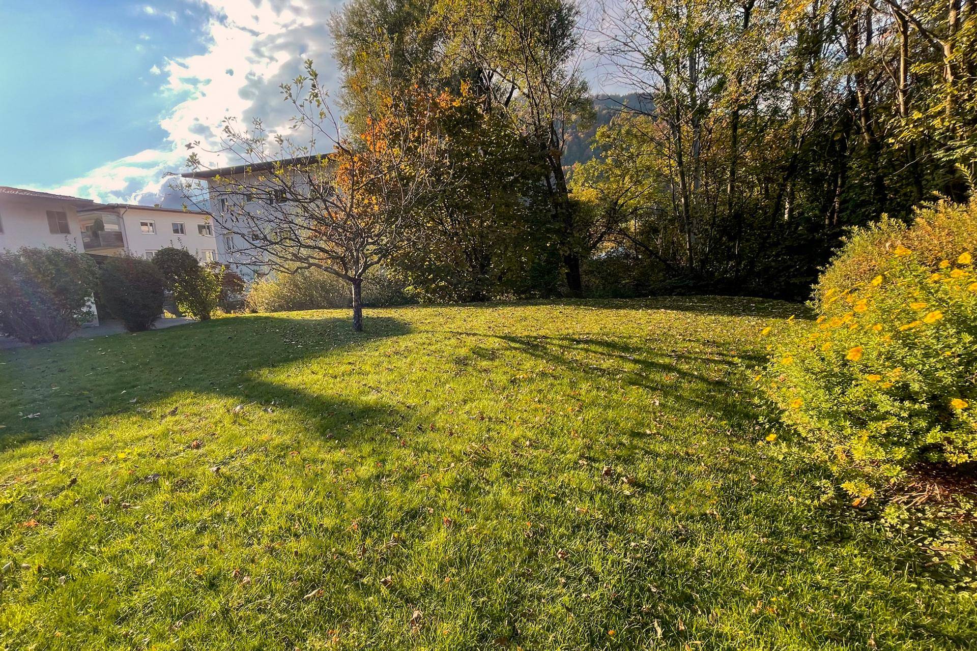Sonniger Gartenbereich mit Rasen, Bäumen und einem Blick auf die umliegenden Gebäude und Natur.