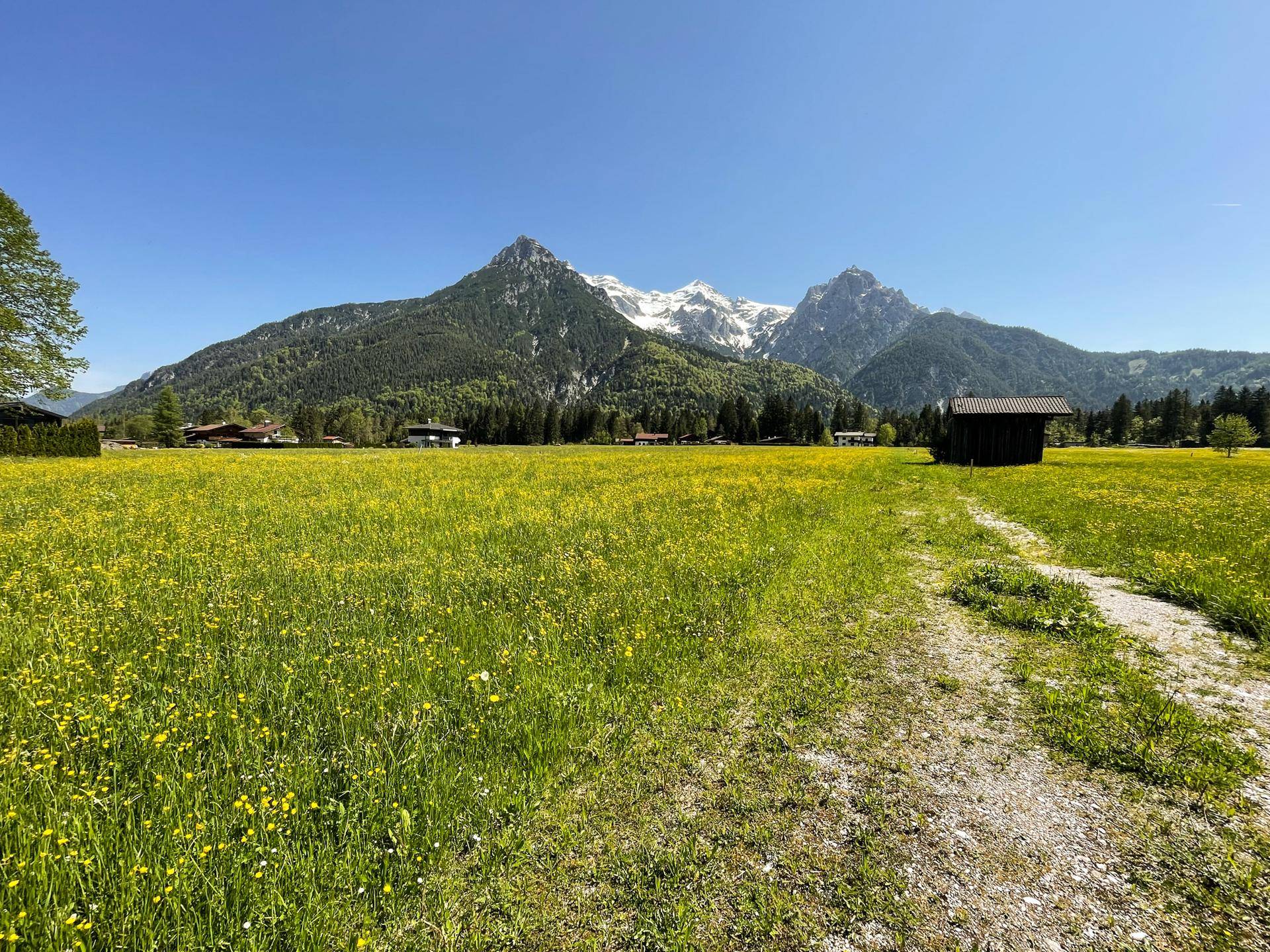 Gut geschnittenes Baugrundstück in sonniger Lage ( 05641 ) - Ansicht 3