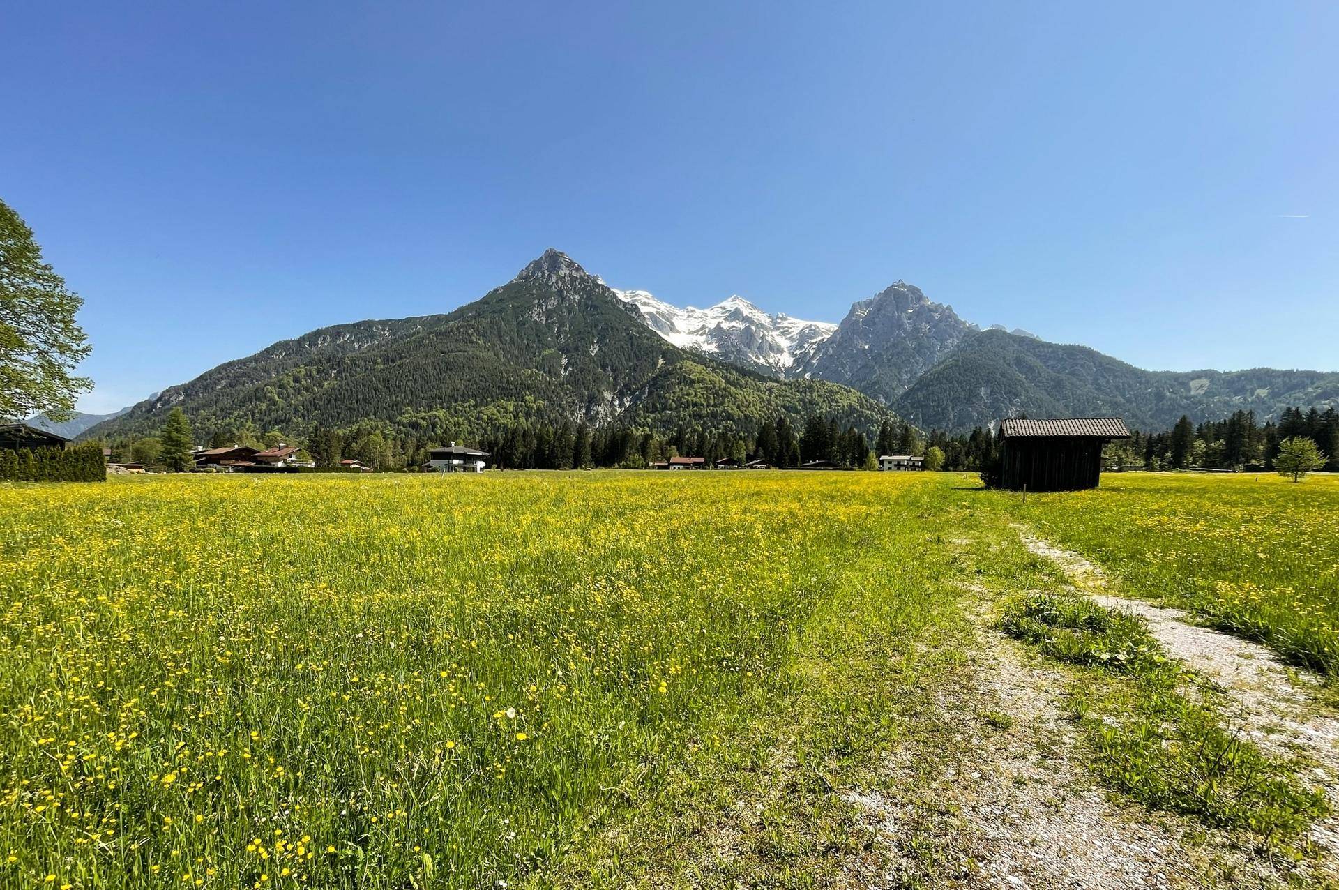 STEINBERGE