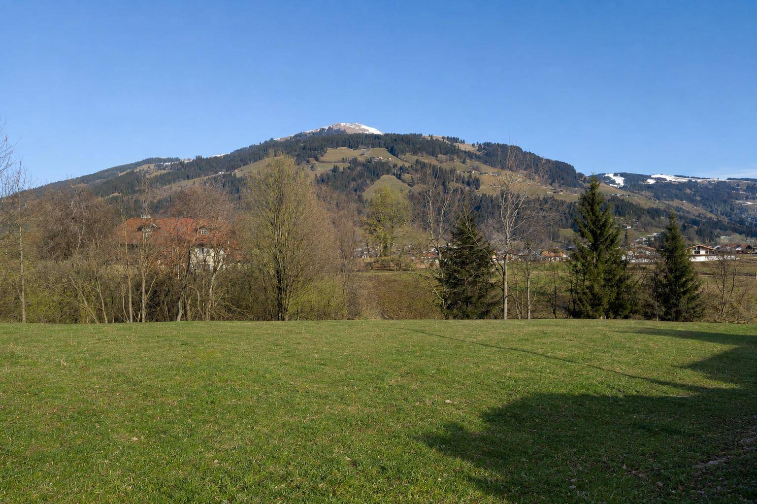Sonnige grüne Wiese mit Blick auf schneebedeckte Berge und vereinzelte Häuser in der Ferne.