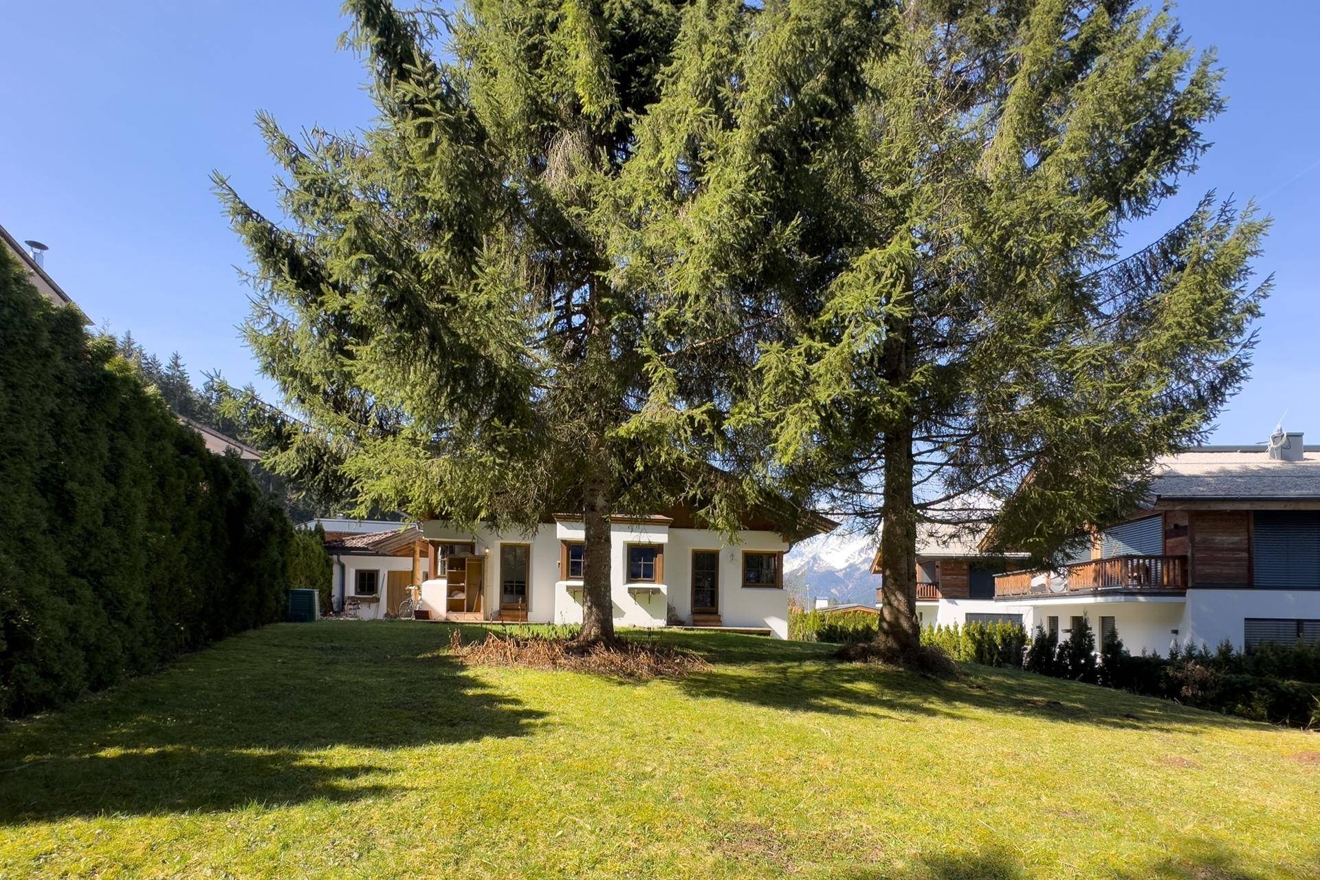 Großer, sonniger Garten hinter dem Haus mit hohen Bäumen und Blick auf die schneebedeckten Berge.