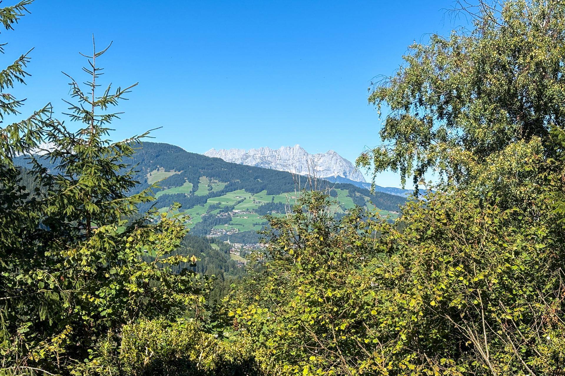 AUSBLICK