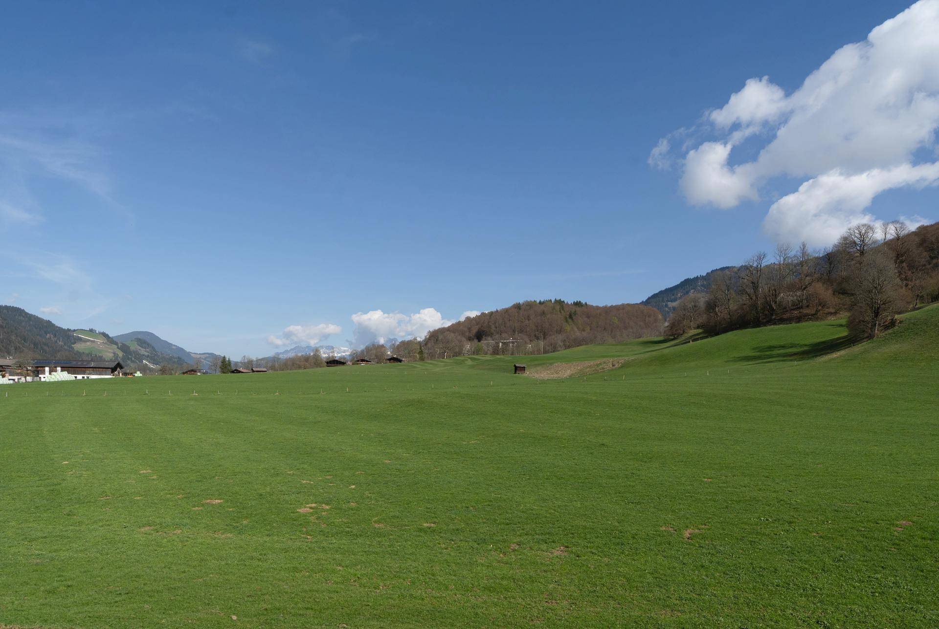 Weitläufige grüne Wiesen mit sanften Hügeln und schneebedeckten Berggipfeln im Hintergrund.