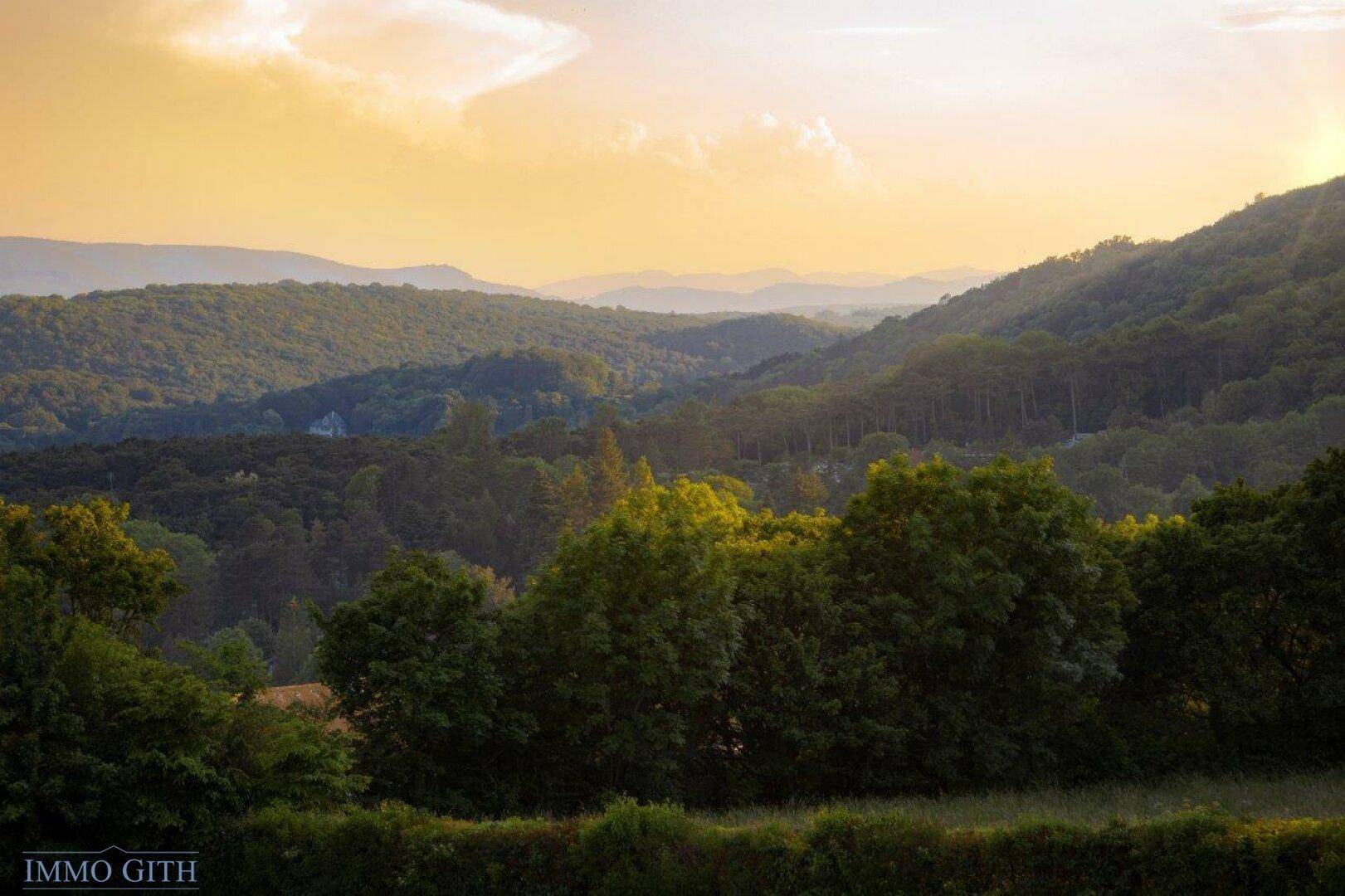 Weitläufiger Blick über die grüne Hügellandschaft im warmen Abendlicht.