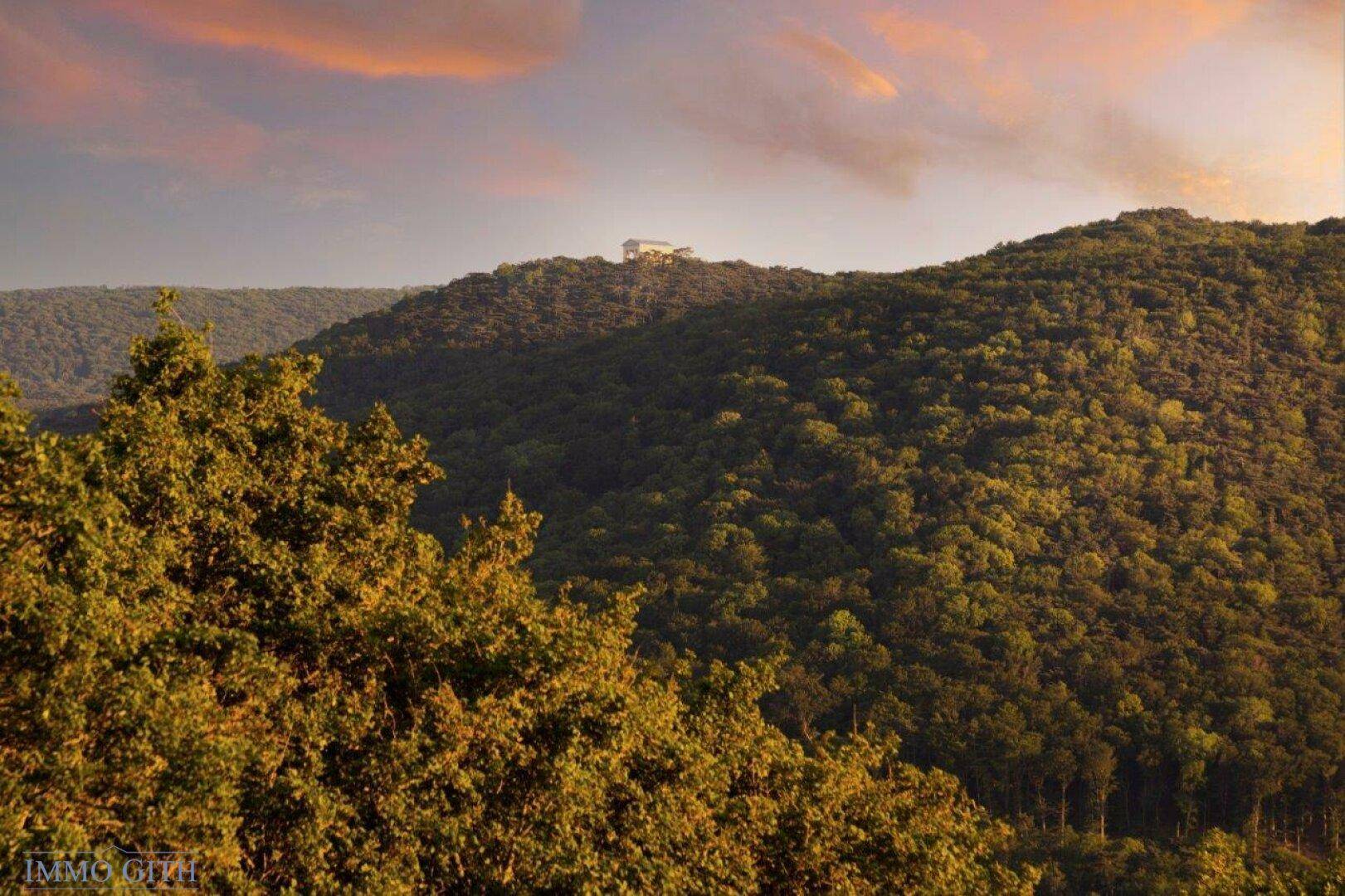 Panoramablick auf die dicht bewaldeten Hügel und die weite Landschaft.
