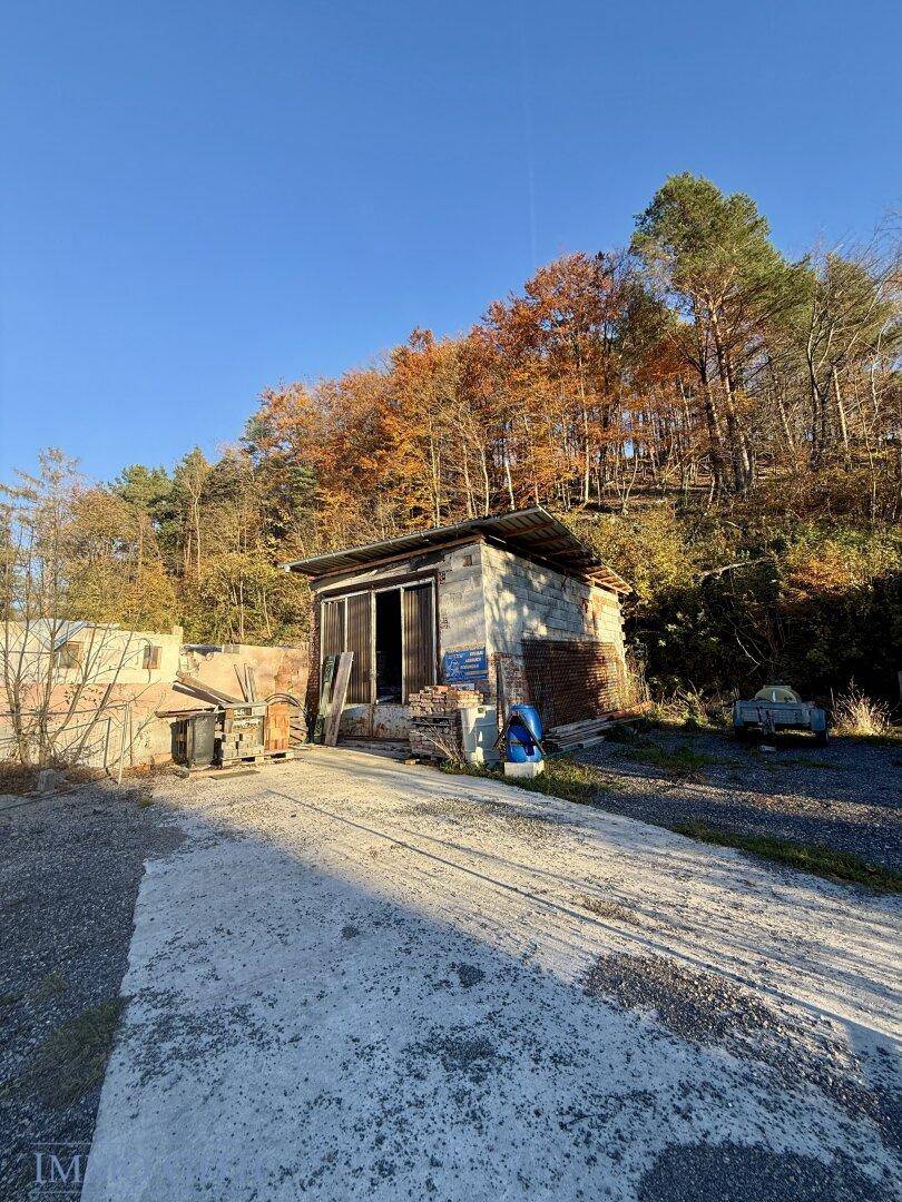 Ein älterer Schuppen mit Holztüren und einer betonierten Fläche vor herbstlicher Waldkulisse.