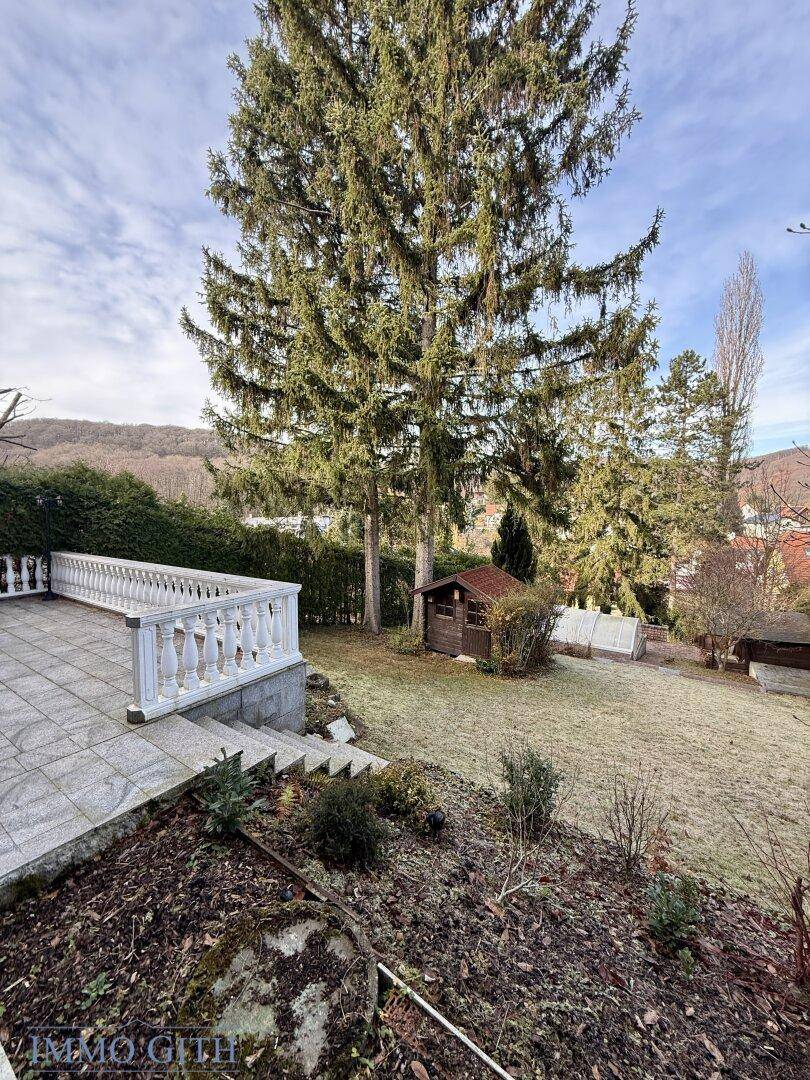 Großer Garten mit Rasenfläche, hohen Bäumen und einer kleinen Terrasse.