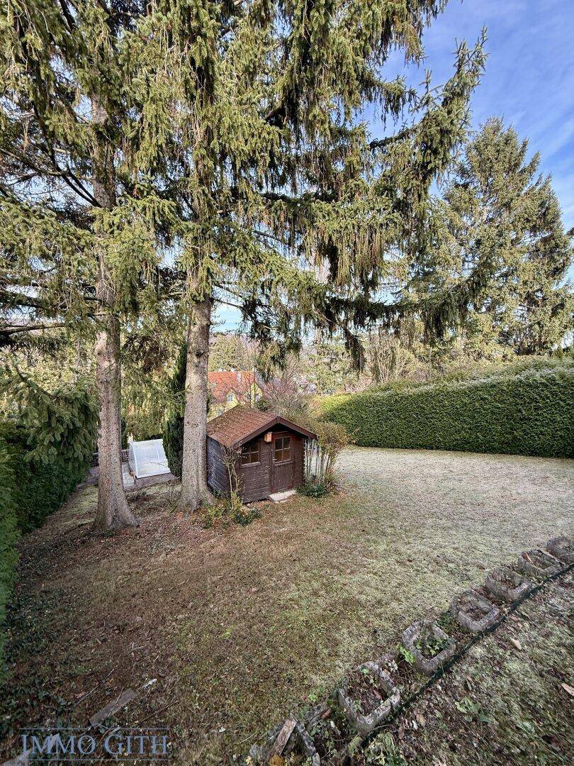 Weitläufiger Garten mit hohen Nadelbäumen, Rasen und Gartenhaus.