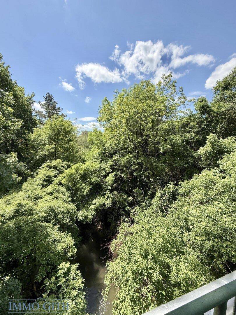 Malerischer Blick auf üppiges Grün und einen kleinen Fluss unter strahlend blauem Himmel.