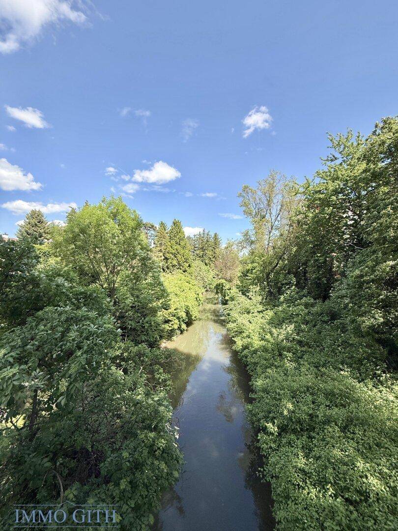 Idyllischer Flusslauf umgeben von dichtem Grün und Bäumen unter blauem Himmel.