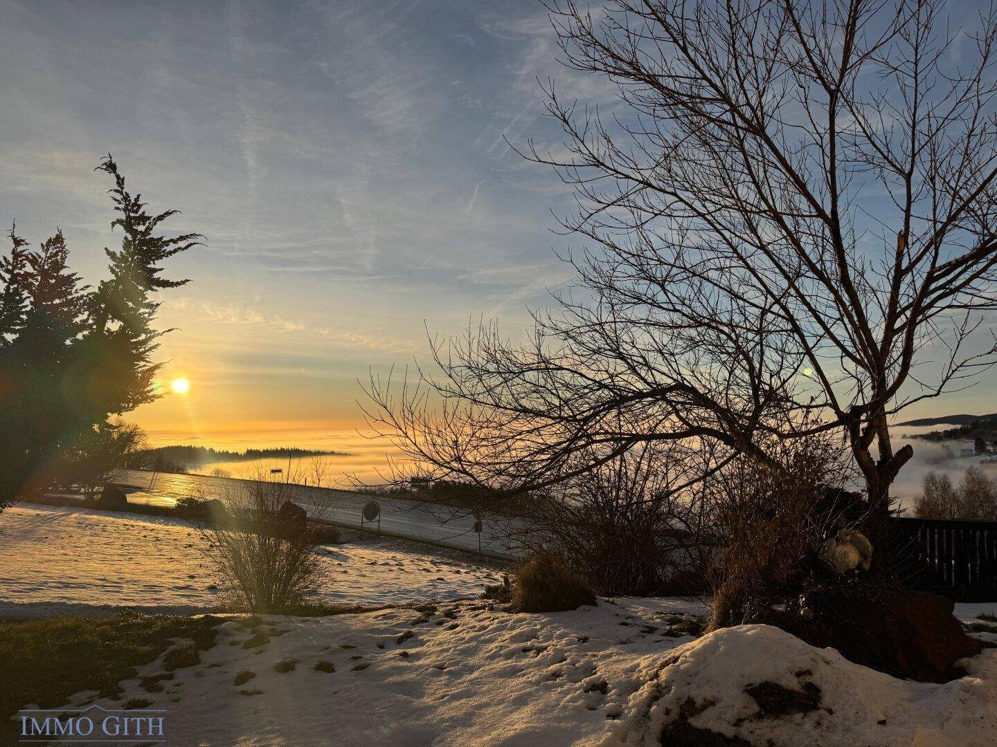 Winterlandschaft bei Sonnenuntergang mit Bäumen und einer Straße, die in der Ferne verschwindet.