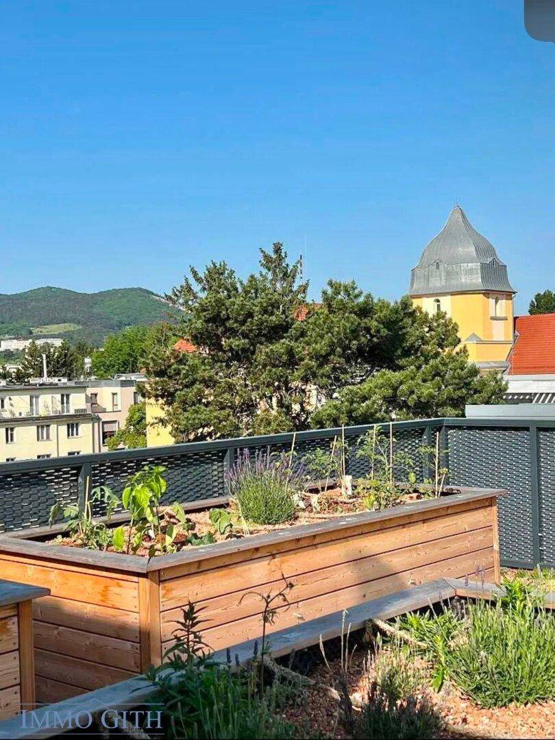 BARRIEREFREIE 2-ZIMMER-NEUBAUWOHNUNG MIT LOGGIA, BALKON, GRÜNBLICK &amp; PERFEKTER INFRASTRUKTUR IN WIEN-LIESING ZU MIETEN! - Ansicht 2