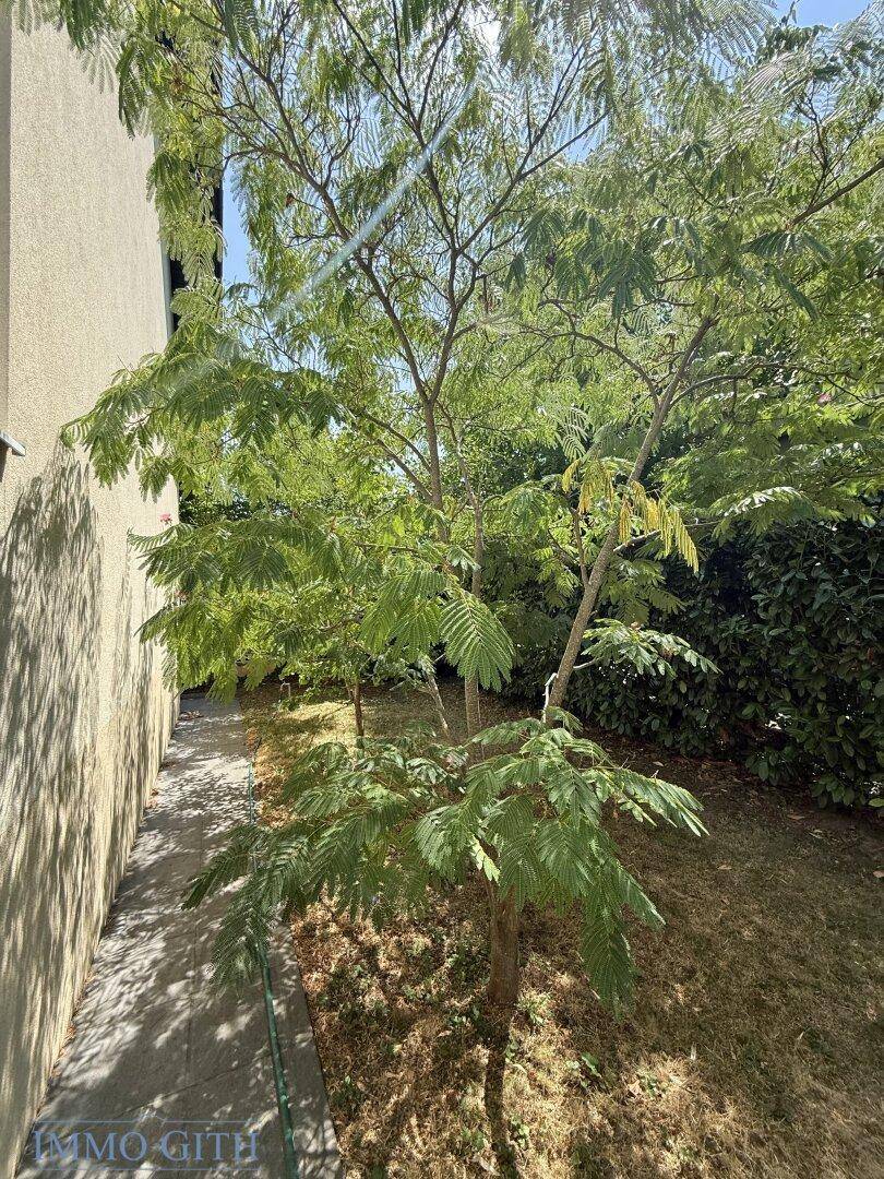 Junger Baum in einem sonnigen Gartenbereich neben der Hausfassade mit viel Grün.