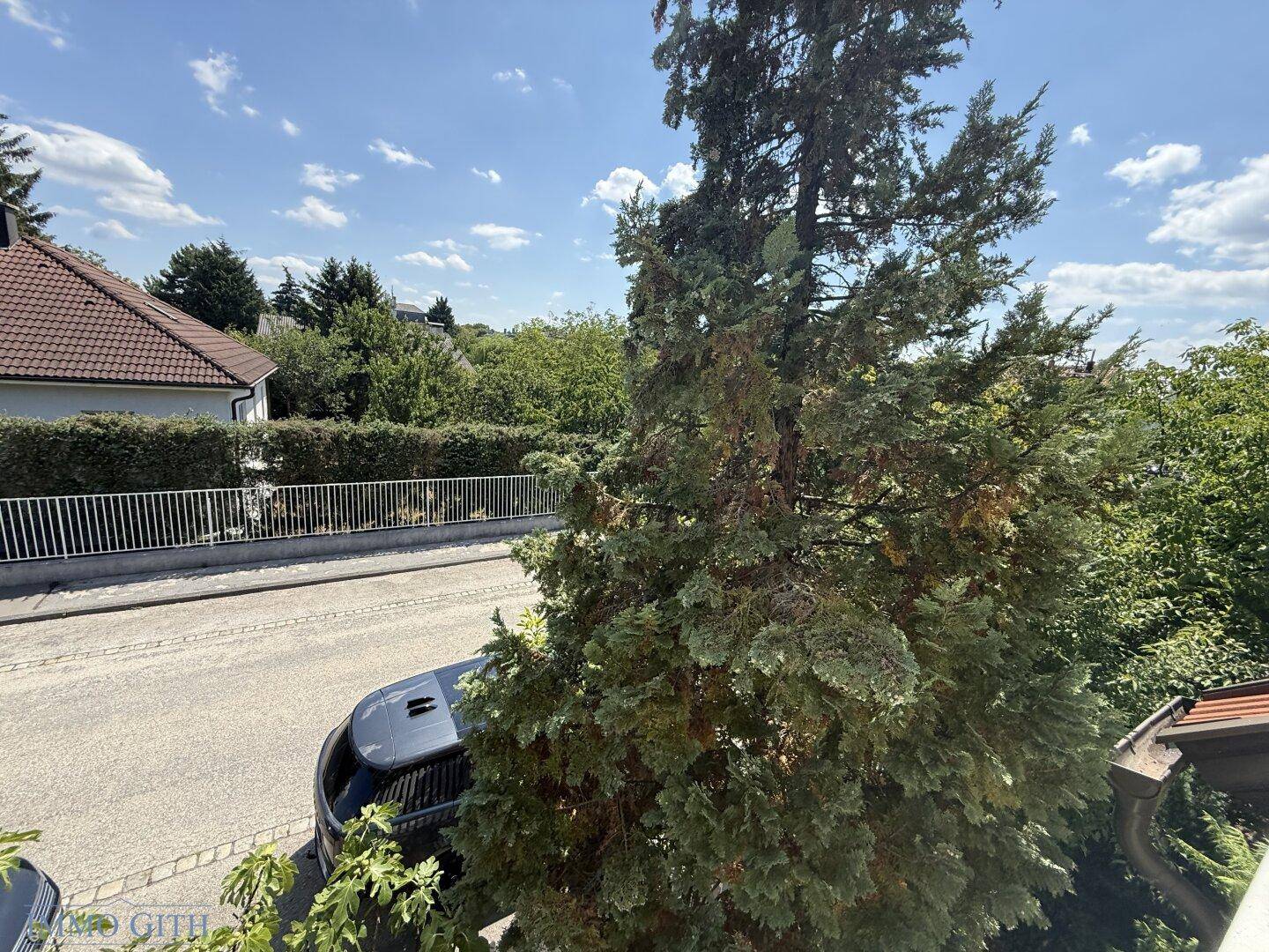 Grüne Umgebung mit hohen Bäumen und Blick auf die ruhige Wohnstraße an einem sonnigen Tag.