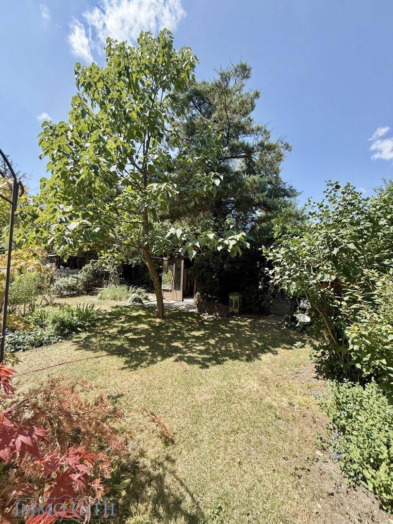 Sonniger Gartenbereich mit hohen Bäumen, Rasen und einem kleinen Gartenhaus im Hintergrund.