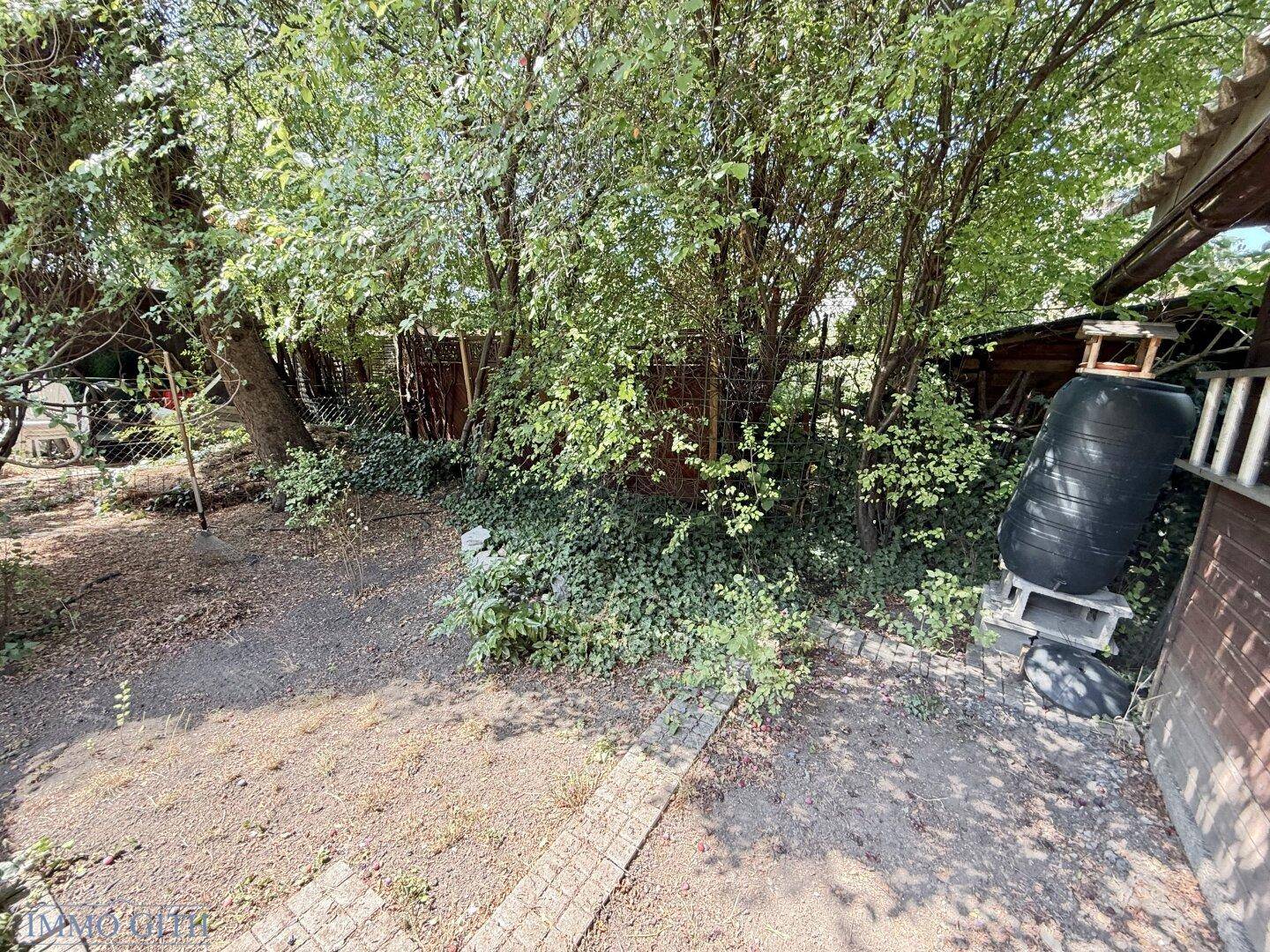 Blick in den grünen Gartenbereich mit dichtem Baumbestand und einem kleinen Gartenhaus im Hintergrund.