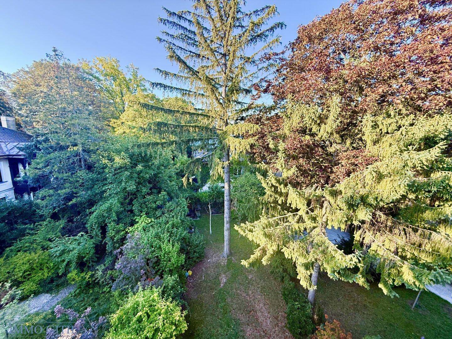 Idyllischer Garten mit hohen Bäumen und üppiger Vegetation, bietet viel Privatsphäre.