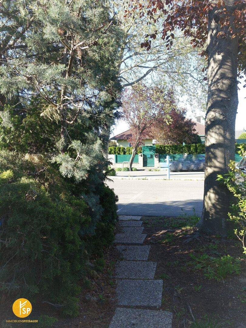 Steinplattenweg führt durch Bäume und Sträucher zu einer ruhigen Straße.