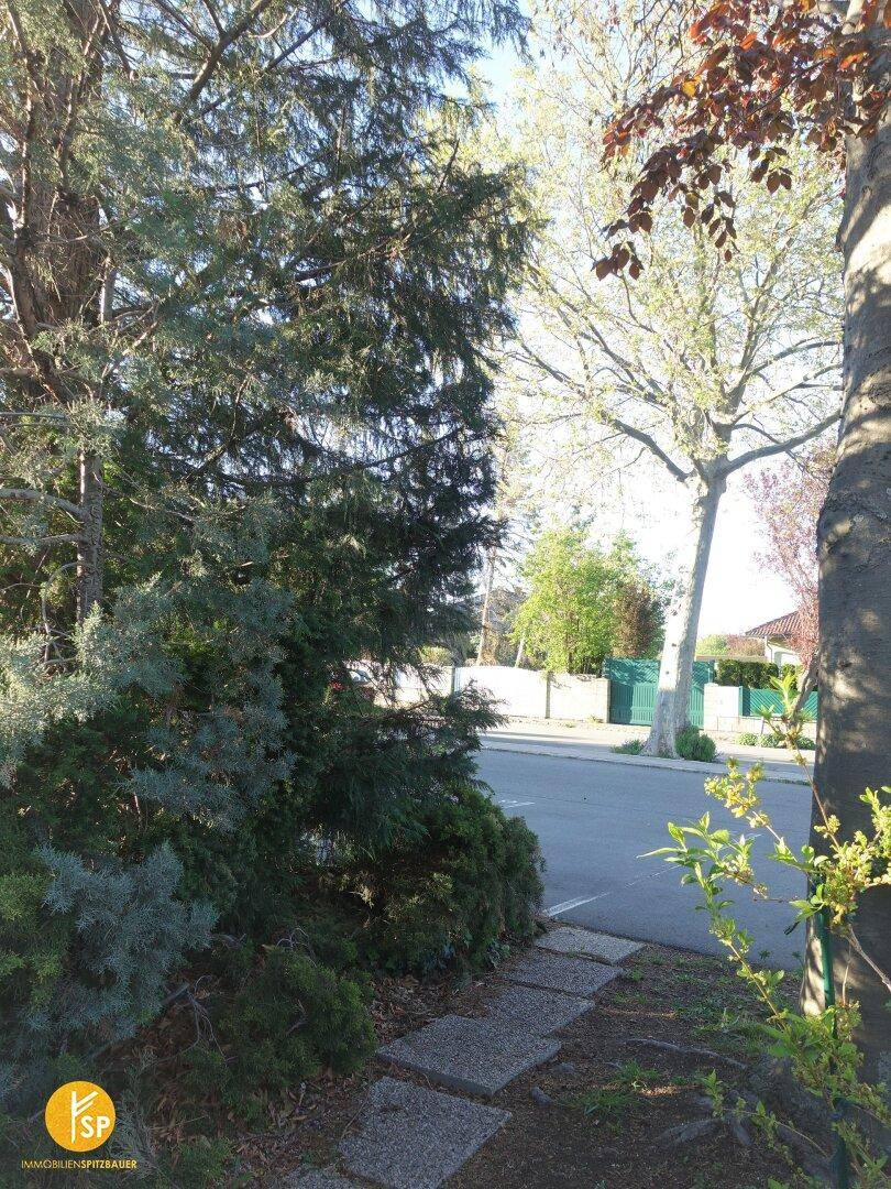 Grüner Weg mit Bäumen und Sträuchern, der zu einer ruhigen Wohnstraße führt.