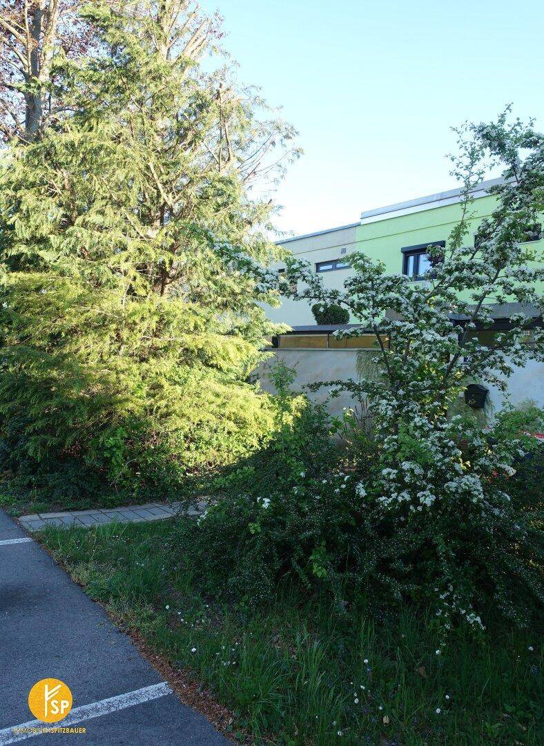 Moderne Architektur mit grüner Fassade, umgeben von üppiger Vegetation und blühenden Sträuchern.