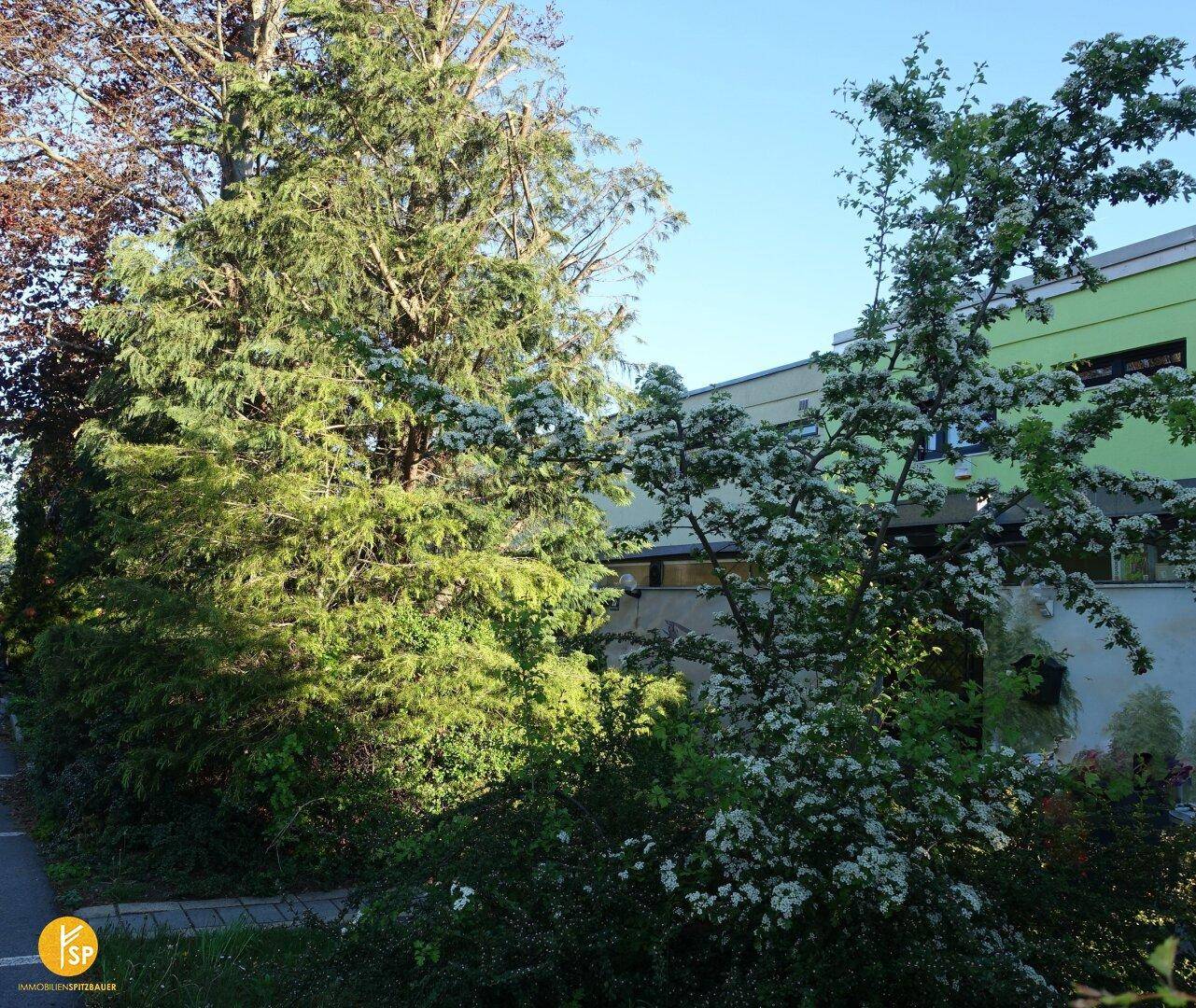 Moderne Architektur mit grüner Fassade, umgeben von üppiger Vegetation und blühenden Sträuchern.