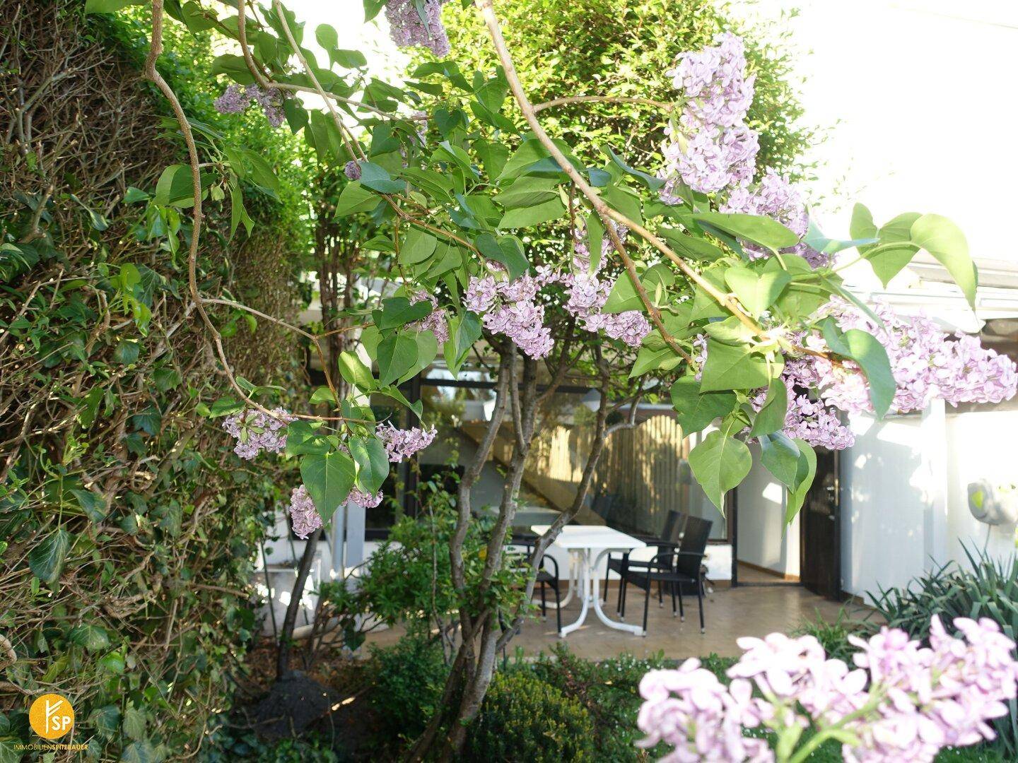 Gemütliche Terrasse mit Sitzgelegenheiten, umgeben von blühenden Fliederbüschen und üppigem Grün.
