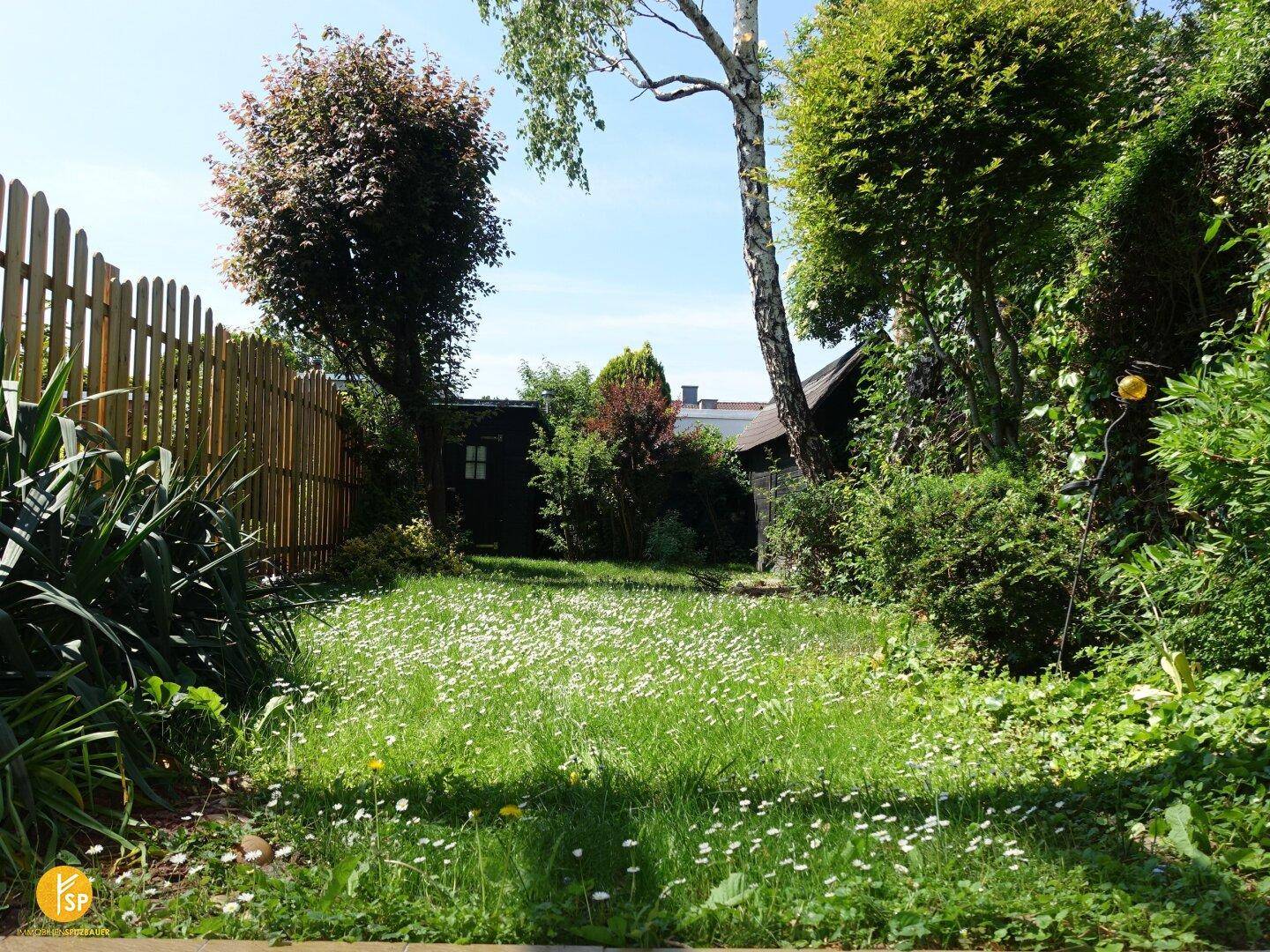 Sonniger Gartenbereich mit Rasenfläche, Gänseblümchen und umzäuntem Grundstück.
