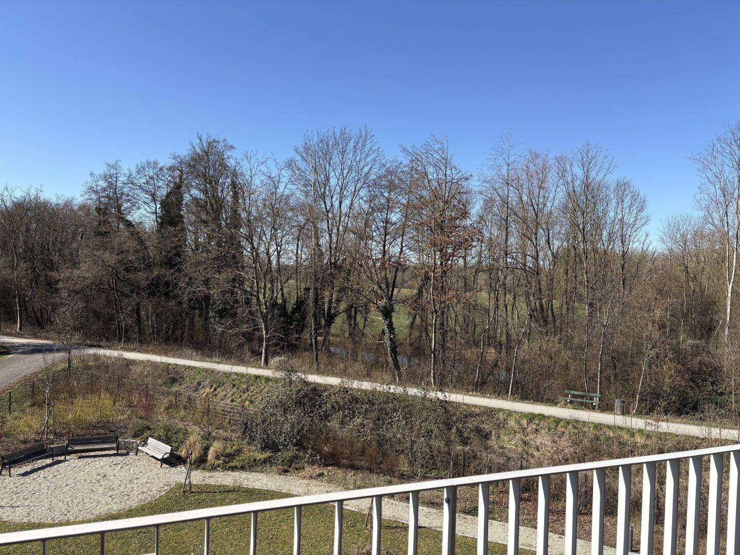 Weitläufiger Blick ins Grüne mit Bäumen und einem Spazierweg im Vordergrund von der Terrasse.