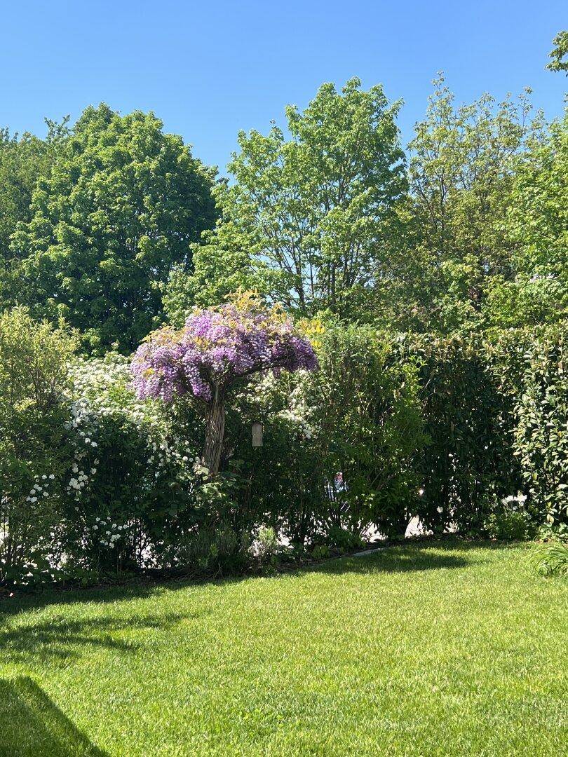 PERG - TOP LAGE - GARTEN - NEUWERTIG - Widok 3
