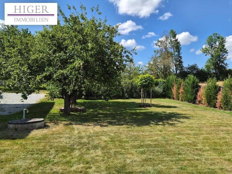 Gepflegter Gartenbereich mit verschiedenen Bäumen und Hecken, ideal zum Entspannen.
