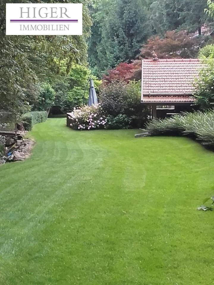 Großer, gepflegter Garten mit Rasenfläche, Büschen und schattenspendendem Baum.