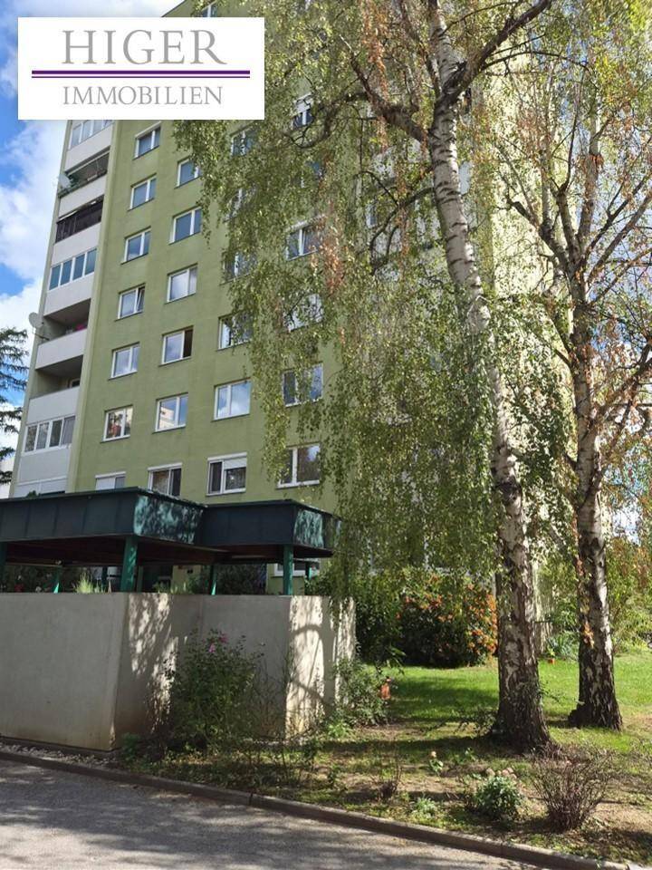 Hohes Wohngebäude mit grüner Fassade, umgeben von Bäumen und einer gepflegten Grünfläche.