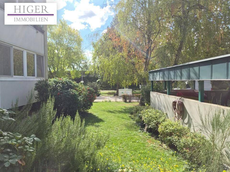 Gepflegter Gartenbereich mit Rasen, Sträuchern und Bäumen neben dem Wohngebäude.