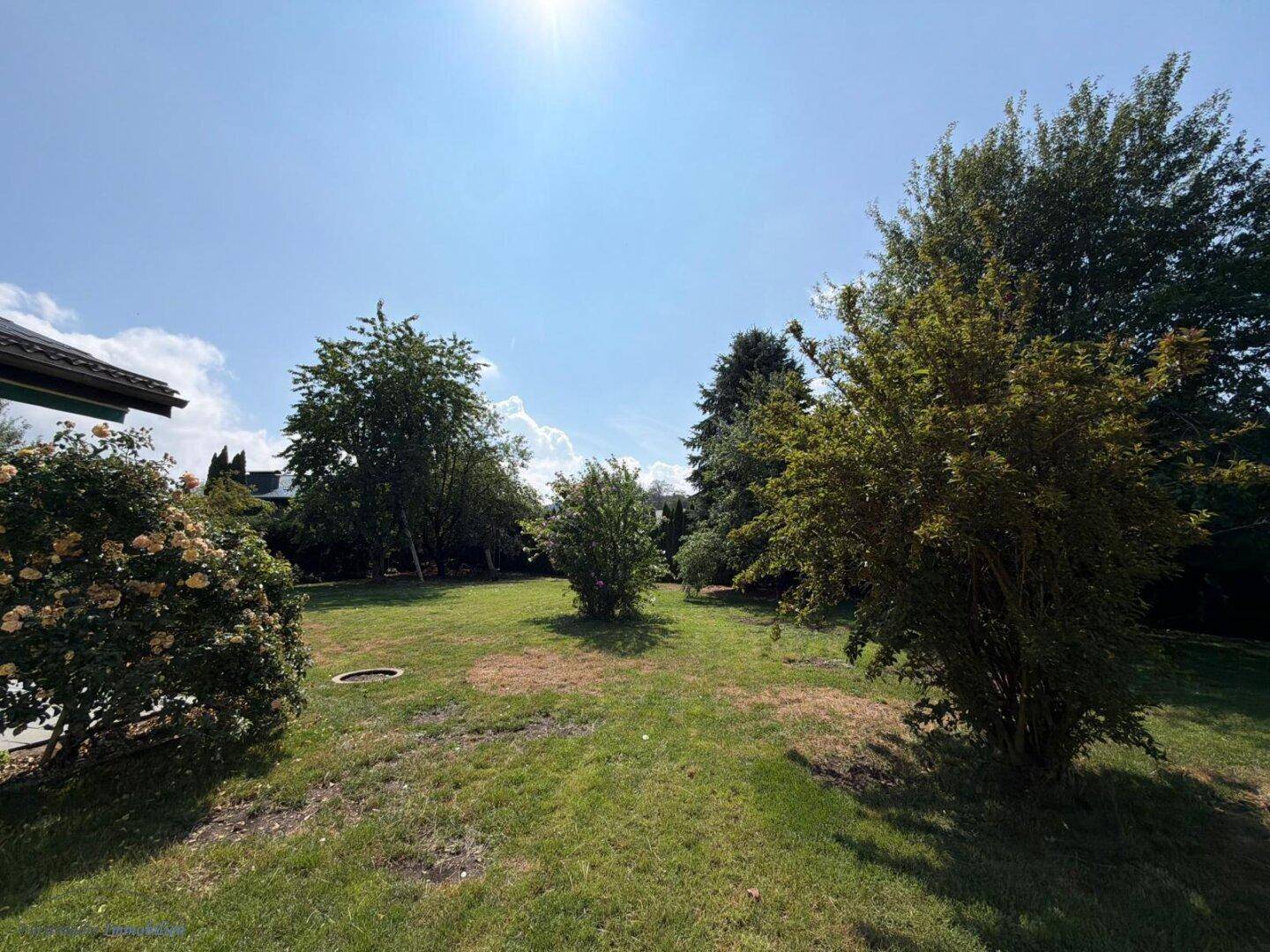 Weitläufiger Gartenbereich mit verschiedenen Bäumen und Sträuchern unter blauem Himmel.