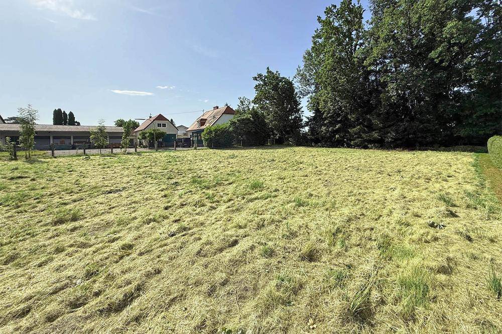 Großes, grünes Grundstück mit frisch gemähter Wiese und altem Baumbestand im Hintergrund.