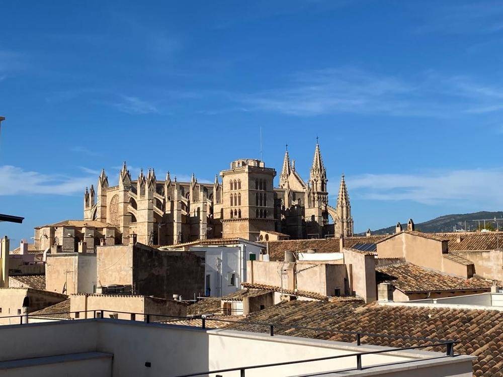 Panoramablick auf die Kathedrale von Palma und die umliegenden Dächer unter blauem Himmel.
