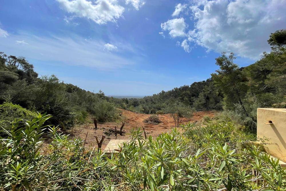 Weitläufiger Blick über eine grüne Hügellandschaft mit mediterraner Vegetation und Meer in der Ferne.