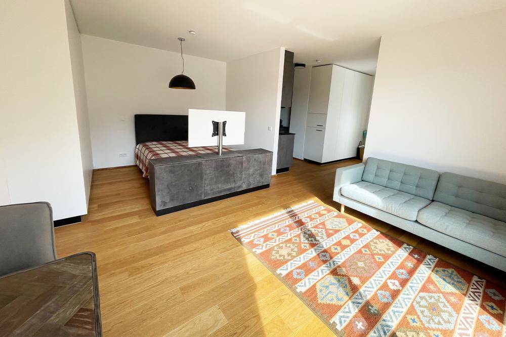 Offener Wohn- und Schlafbereich mit Holzboden, modernem Sofa und einem Bett mit TV-Möbel.