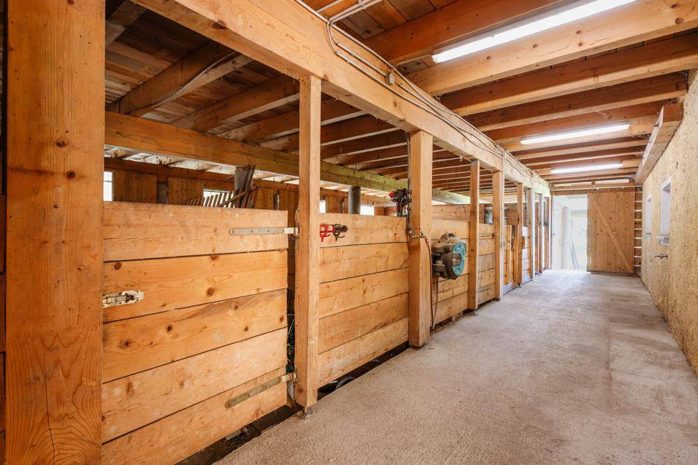 Geräumiger Stallbereich mit Holztrennwänden und sichtbarer Holzkonstruktion.