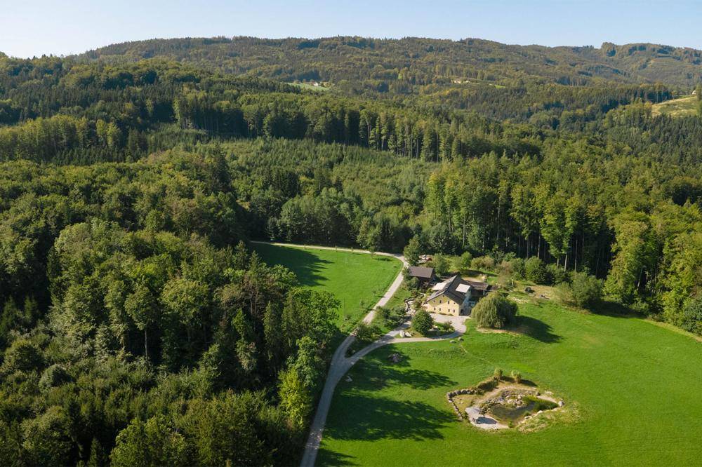 Weitläufiges Anwesen eingebettet in eine malerische Wald- und Wiesenlandschaft.