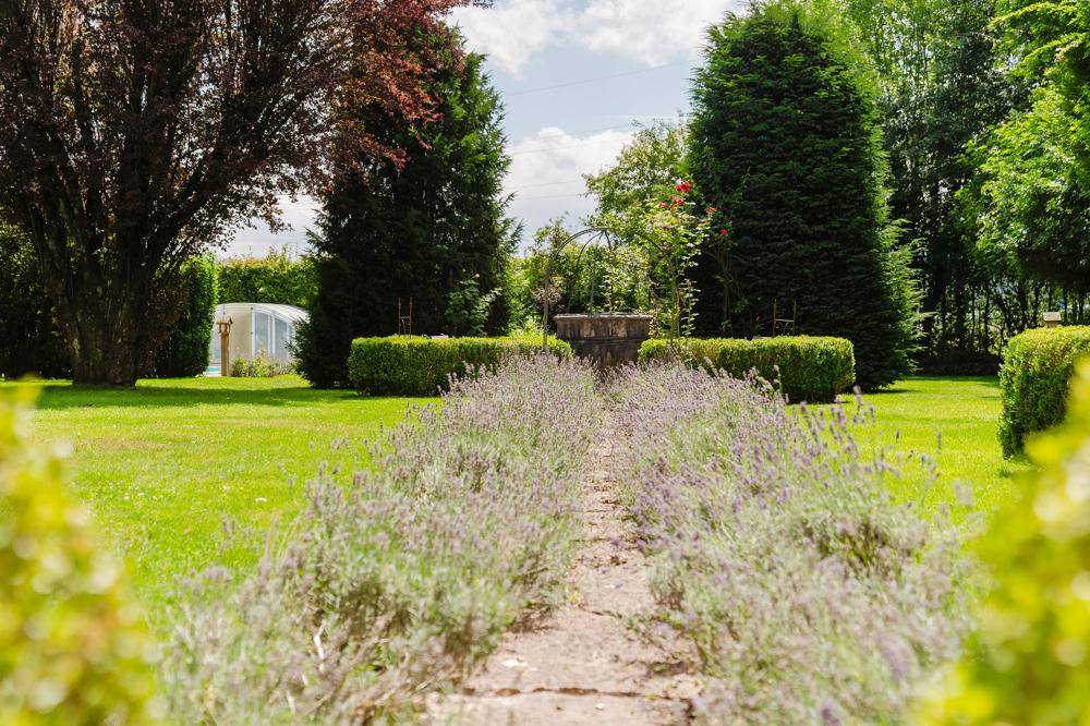 Langer Lavendelpfad führt durch einen weitläufigen Garten mit gepflegten Hecken und Gewächshaus.