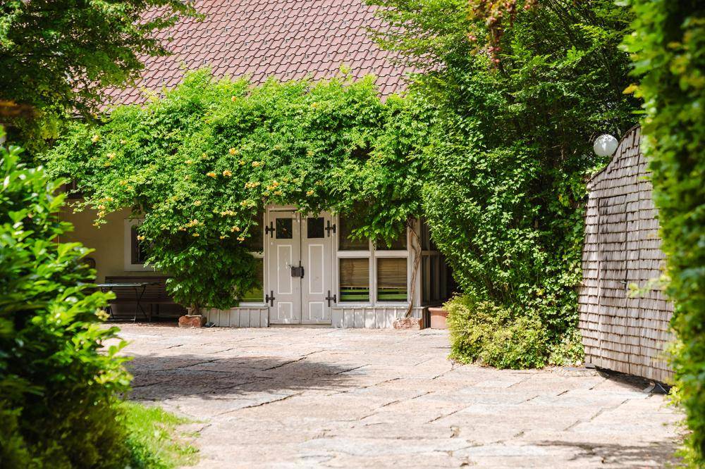 Steinplatten-Patio vor einem von Kletterpflanzen bewachsenen Eingangsbereich mit Holztor.