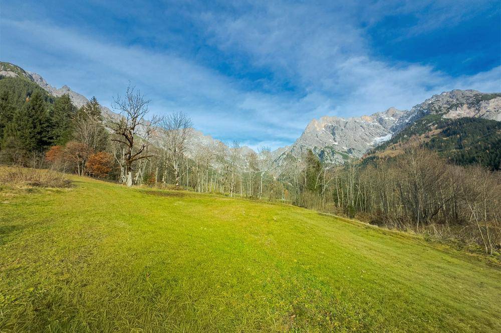 Weitläufige grüne Wiese mit Bäumen und imposanten Bergen im Hintergrund unter einem klaren blauen Himmel.