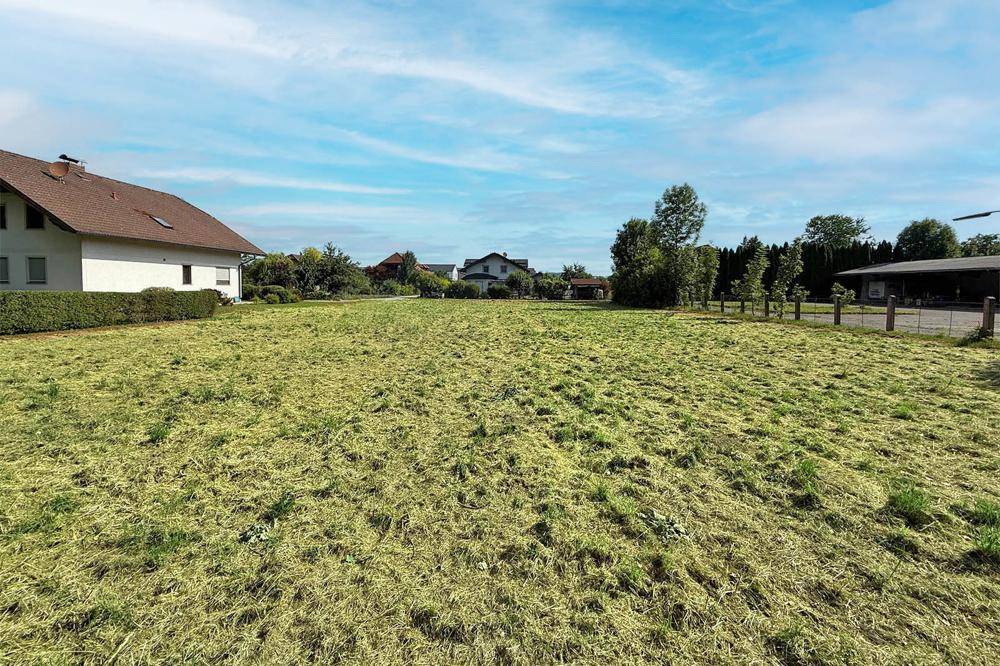 Großes, sonniges Grundstück mit frisch gemähter Wiese und Blick auf die Nachbarschaft.