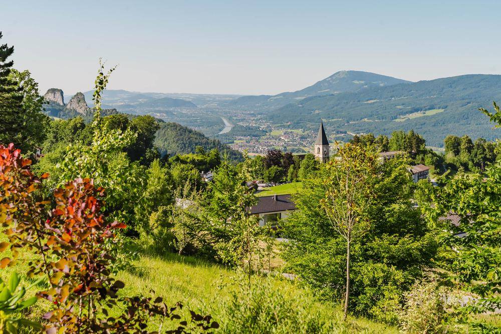 Panoramablick über ein grünes Tal mit einer Stadt und Bergen am Horizont, umrahmt von Bäumen.