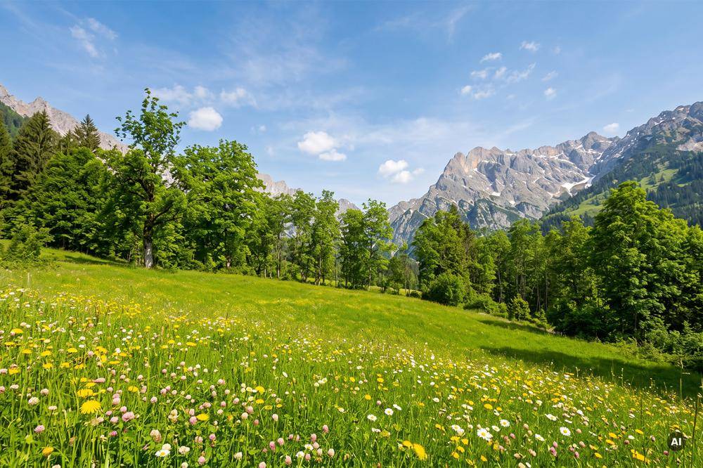 Blühende Wiese mit bunten Wildblumen und majestätischem Bergblick unter einem strahlend blauen Himmel.